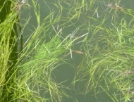 Flappachputzete 16